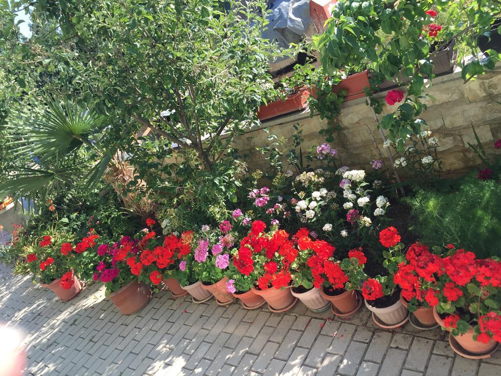 Zajim Apartment Umag Quarto foto